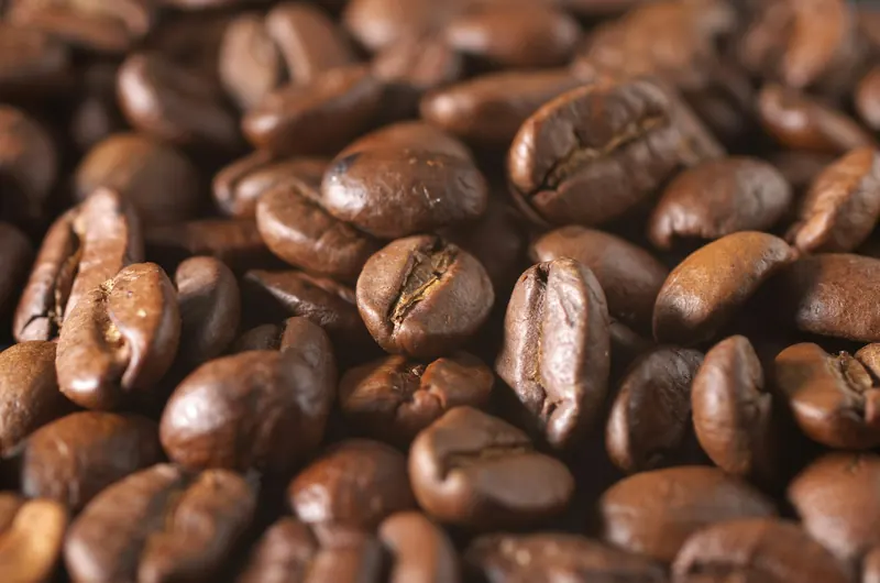 Roasted for cupping
